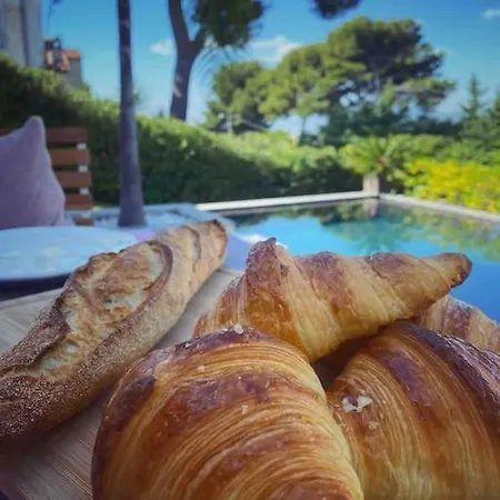 Lion, Gorgeous In Overlooking Cannes Villa Le Cannet