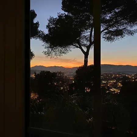 Lion, Gorgeous In Overlooking Cannes *