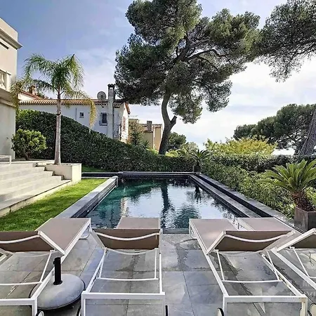 Lion, Gorgeous In Overlooking Cannes *