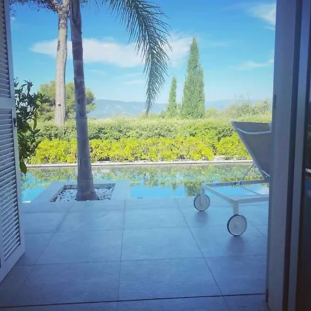 Lion, Gorgeous In Overlooking Cannes Villa Le Cannet