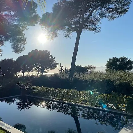Lion, Gorgeous In Overlooking Cannes Le Cannet