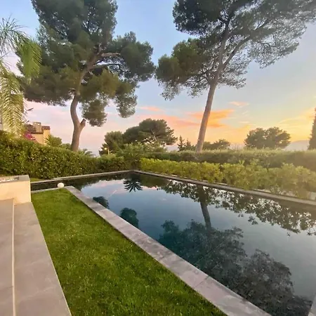 Lion, Gorgeous In Overlooking Cannes