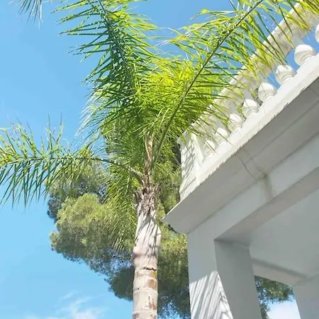 Villa Lion, Gorgeous In Overlooking Cannes *