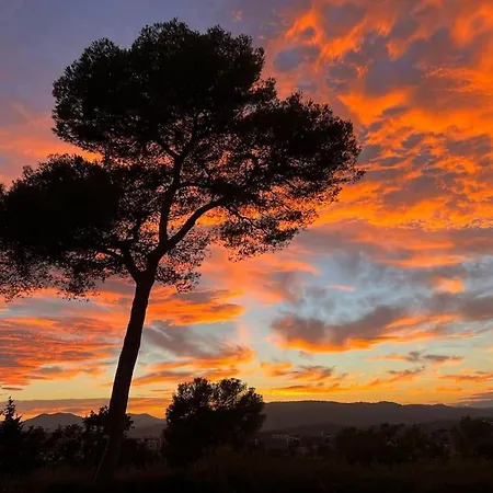 Villa Lion, Gorgeous In Overlooking Cannes Le Cannet